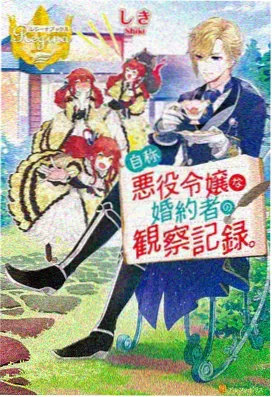 我的漂亮姐姐 动画特别篇